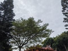 -青礁慈济宫