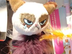 -PETKIT小佩宠物·低压洗护(国顺东路店)