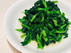 鸡油炒豆苗-利苑酒家(金宝店)