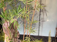 -绿茶餐厅(淮安吾悦广场店)