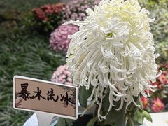 -杭州植物园
