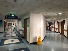 -上海市东方医院(总院)