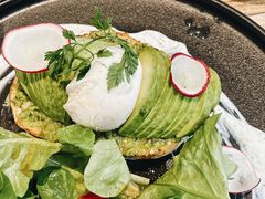 -Elephant Grounds(STARSTREET)