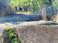 -北京鹫峰国家森林公园