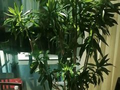 -浦江悦(陆家嘴保利广场店)