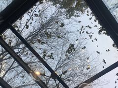 -星巴克(西湖天地店)