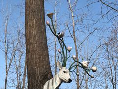 -合肥滨湖国家森林公园