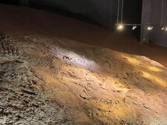 -世界恐龙谷景区