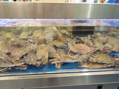 -盒马X会员店(上海森兰商都店)