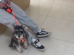 -美联众合动物医院·24h京西诊疗中心