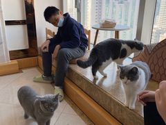 -Catmate·猫肥家润(金润铂宫店)