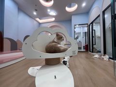 -1013 PET SHOP 宠物商店(近铁城市广场店)