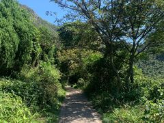 -大罗山风景区