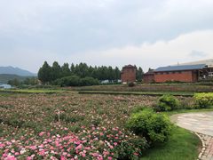 -君乐宝优致牧场