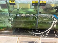 -青竹园海鲜餐厅(海天路店)