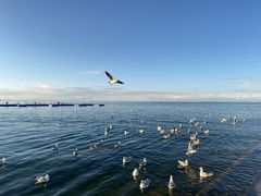 -青海湖国家重点风景名胜区