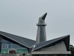 -盐城丹顶鹤湿地生态旅游区