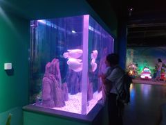 -常州海昌海洋探索馆
