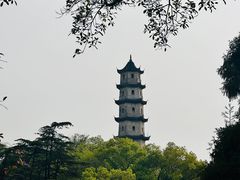 -江心屿景区