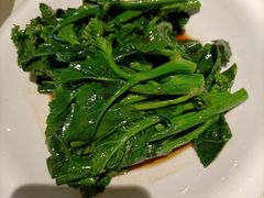 广东菜心苗-衡山汇·高级粤菜(霄云路店)