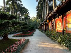 -金花茶公园