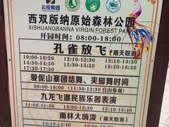 -西双版纳原始森林公园