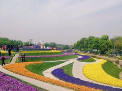 -南通洲际绿博园