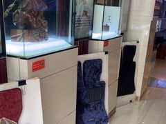 -天猫养车贴膜轻改·蓝电(优匹康桥东路店)