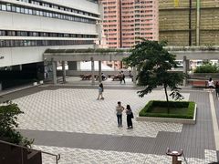 -香港大学