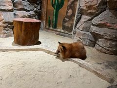 -绿色星球动物主题公园