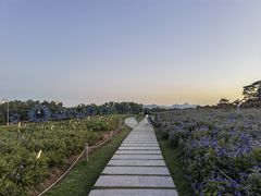 -深圳湾公园(南山区)