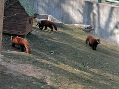 -西安秦岭野生动物园