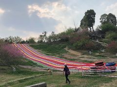 -秀丽东方