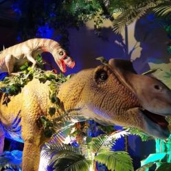 -恐龙探索乐园(磁器口店)