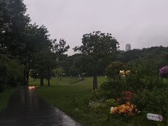 -莲花山公园