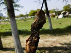 -春花秋色城市公园