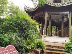 -上海市保健医疗中心