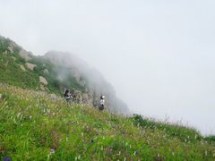 -白草畔自然风景区