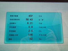 跑步机-Liking Fit 24H智能健身(旗舰店)