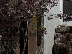 -观唐（国际）度假村温泉