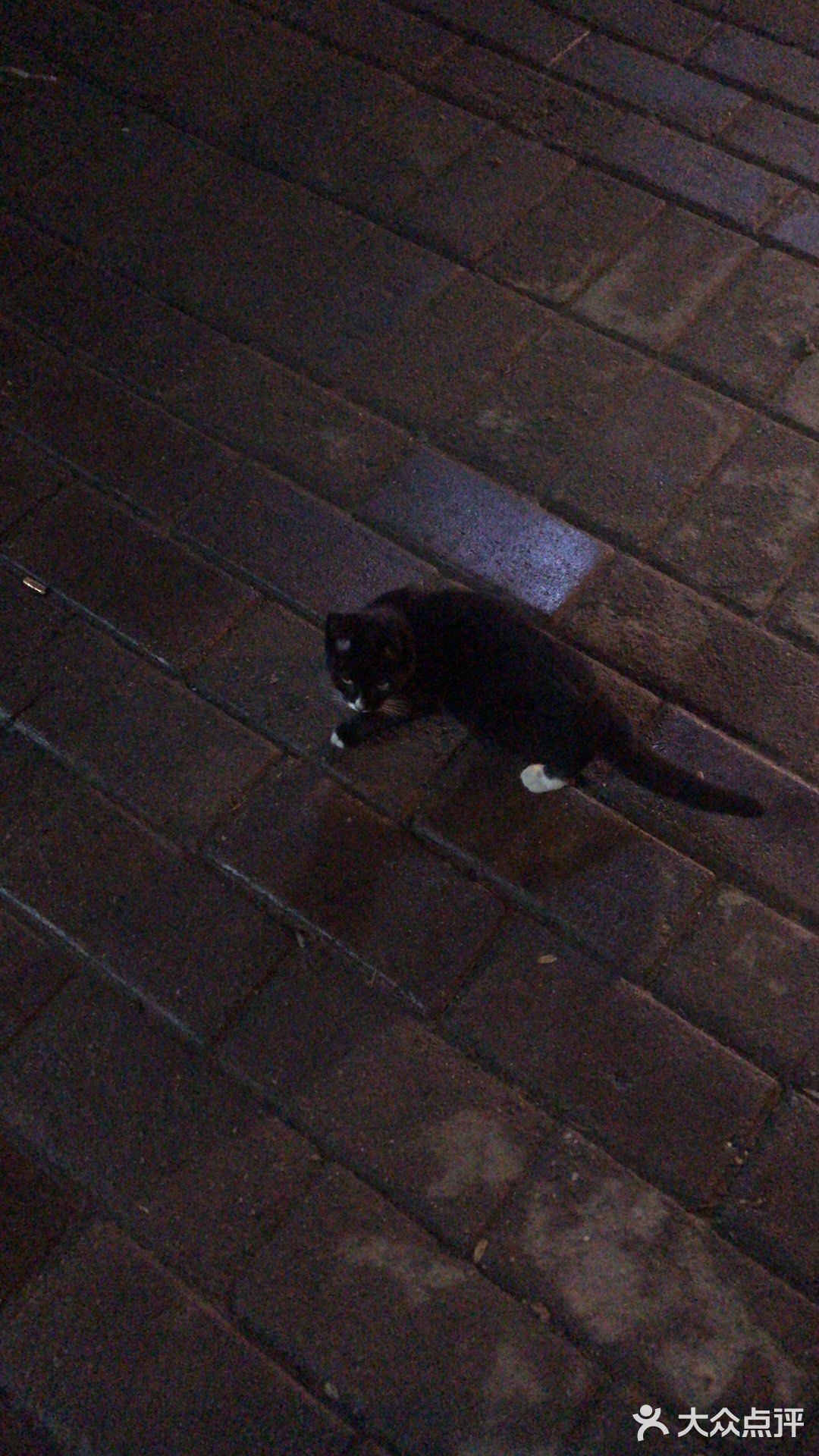 永旺蛙酷
