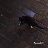 永旺蛙酷
