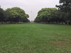iphone_upload_pic-中山大学学者灵芝(园南路店)