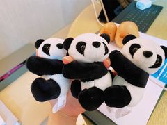 -成都天府丽都喜来登饭店