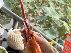 -渔娘蟹庄(阳澄湖莲花岛店)