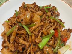 XO酱爆白玉菇虾仁-大树餐厅(红旗街万达店)