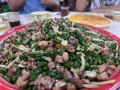 -东吴霸王兔(松青路店)