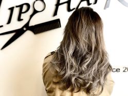 点击看大图 -Tipo Hair salon(明星)店
