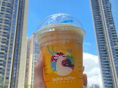 闪光橙橙瑞纳冰-瑞幸咖啡(绿地新都会9号楼店)