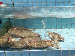 -北戴河转鱼·炒螃蟹酱餐厅